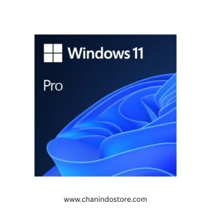 Microsoft Windows 11 Profesional