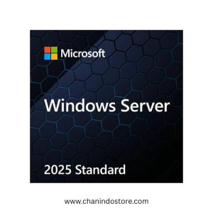 Microsoft Windows Server 2025 Standard 64Bit