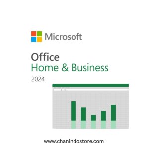 Microsoft Office Home and Business 2024 ESD EP2-06604