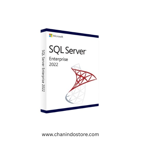 Microsoft SQL Server 2022 Standard Edition