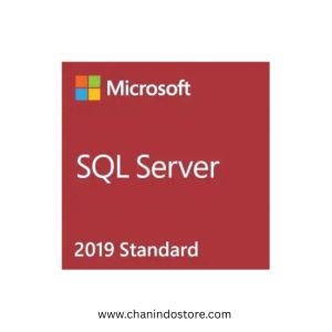 Microsoft SQL Server Standard 228-11033