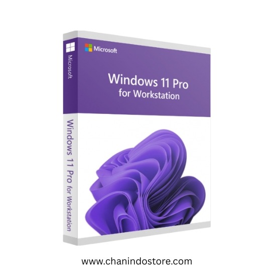 Windows 11 Pro for Workstation 64Bit OEM DVD HZV-00101